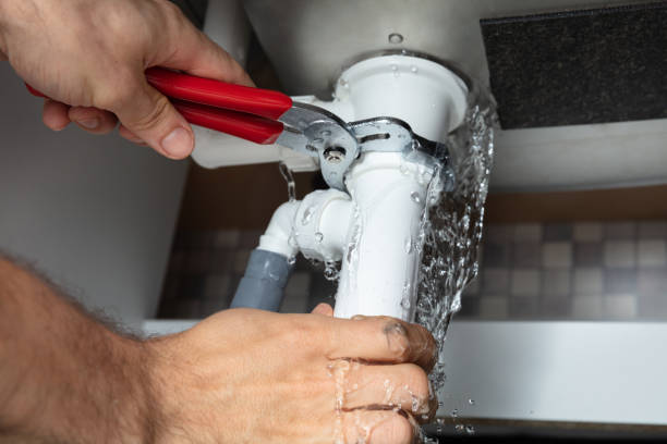 Best Local water damage restoration  in Woodbine, GA