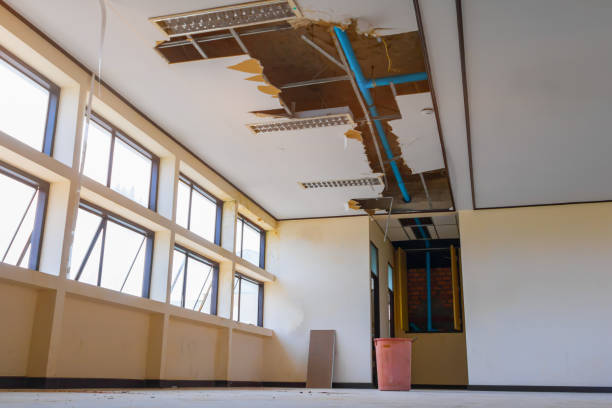 Best Water damage mitigation services  in Woodbine, GA