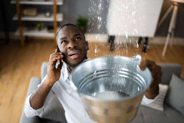 Best Water damage cleanup near me  in Woodbine, GA