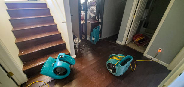 Best Water damage restoration near me  in Woodbine, GA