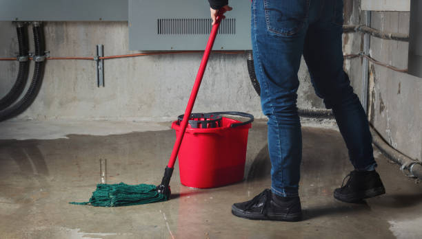 Best Flood damage cleanup  in Woodbine, GA