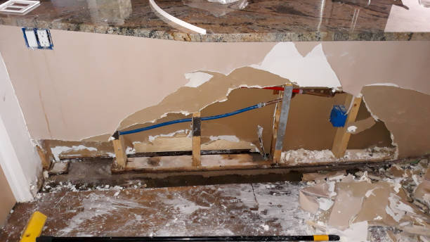 Best Residential water damage restoration  in Woodbine, GA