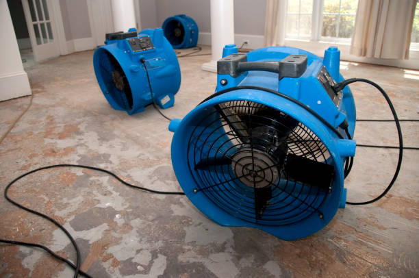 Reliable Woodbine, GA Water damage restoration Solutions