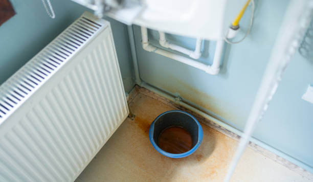 Best Water damage restoration cost  in Woodbine, GA