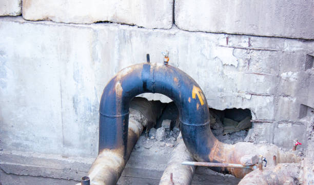 Best Flood restoration services  in Woodbine, GA